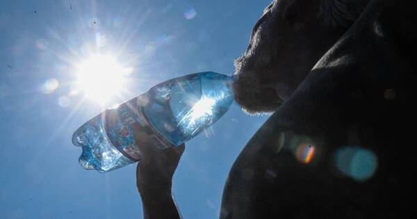 La Nación / Ola de calor: médico alerta sobre el riesgo de la insolación