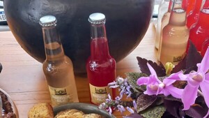 Crea una gaseosa natural y amigable con el ambiente