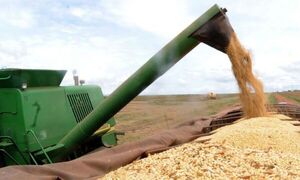 Mitos y verdades relacionadas a los agronegocios - Informatepy.com