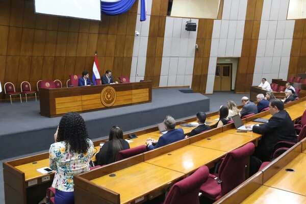 Cartismo busca imponer cambios en Cones sin debate, dicen en audiencia - Política - ABC Color