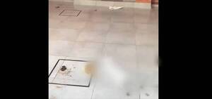 [VIDEO] "Se murió de calor, para que pu.. tienen perros si no le van a cuidar"