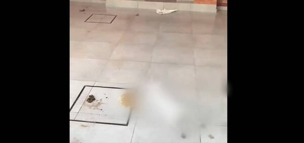 [VIDEO] "Se murió de calor, para que pu.. tienen perros si no le van a cuidar"