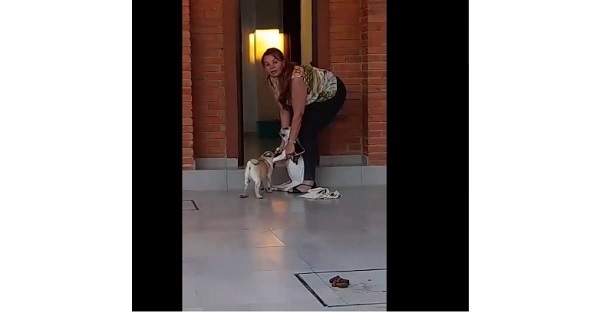 Negligencia fatal causa la muerte de un perrito en Asunción
