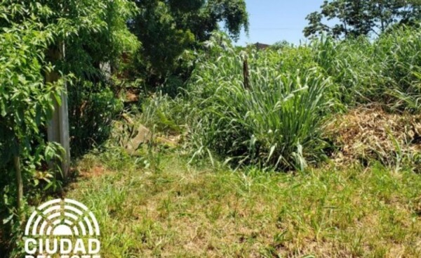 Municipalidad de CDE sigue aplicando multas por baldíos sucios