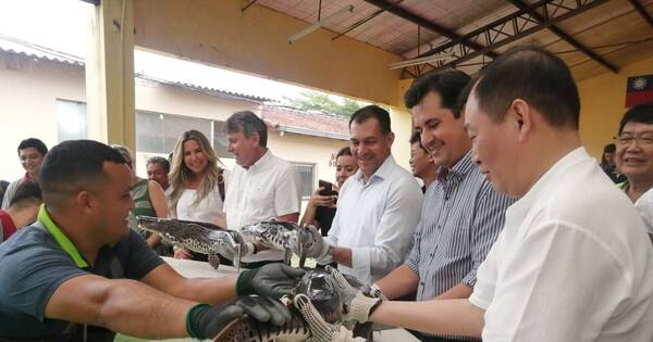 La Nación / La acuicultura tiene gran potencial para ser parte de la cadena productiva y diversificar renta