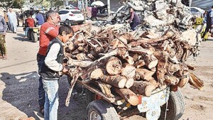 EEUU urge a Israel permitir acceso de más ayuda en Gaza