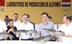 Proyectan mayor crecimiento de la producción de surubí - Nacionales - ABC Color
