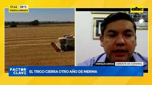 Video: el trigo cierra otro año de merma - Factor Clave - ABC Color