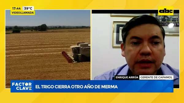 Video: el trigo cierra otro año de merma - Factor Clave - ABC Color