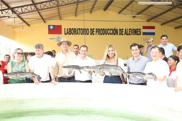 Producción acuícola del Paraguay en aumento - Informatepy.com