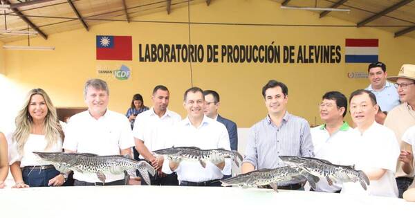 La Nación / Acuicultura con potencial para la cadena productiva