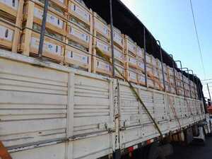 Exportación de bananas paraguayas se dispara con la apertura de nuevos mercados