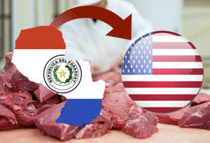Se concretan primeros envíos de carne paraguaya a Estados Unidos - La Clave