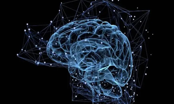 Diseñan un transistor similar al cerebro que trata de imitar la inteligencia humana