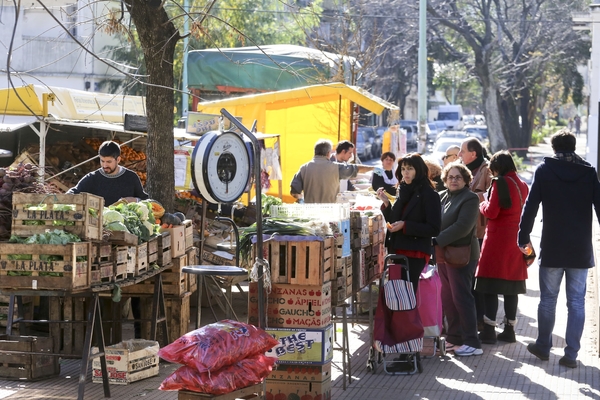 El Gobierno de Argentina se apresta a presentar un plan de desregulaci贸n de la econom铆a - Revista PLUS