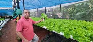 San Juan Bautista: producción hidropónica de lechuga, opción ideal para la agricultura familiar  - Nacionales - ABC Color