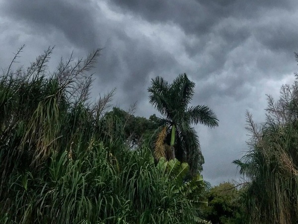 Temperatura en aumento y lluvias ligeras - La Tribuna