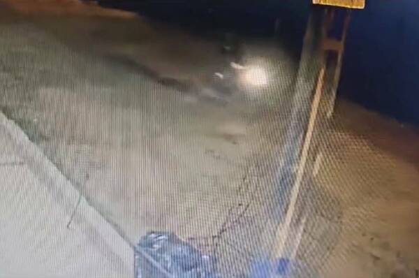 "Dame tu celular o te disparo acá mismo": una joven fue asaltada frente a su casa