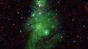 NASA capta un grupo de estrellas y regala un árbol cósmico de Navidad
