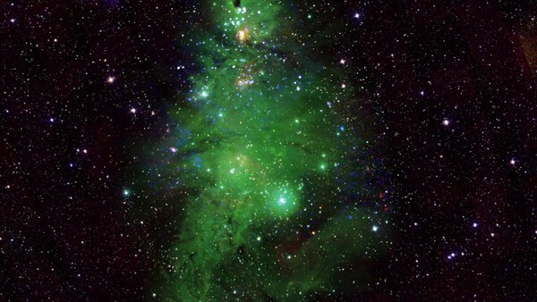 NASA capta un grupo de estrellas y regala un árbol cósmico de Navidad