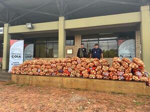 Gran golpe al comercio ilegal: incautan miles de kilos de mercadería en Itapúa