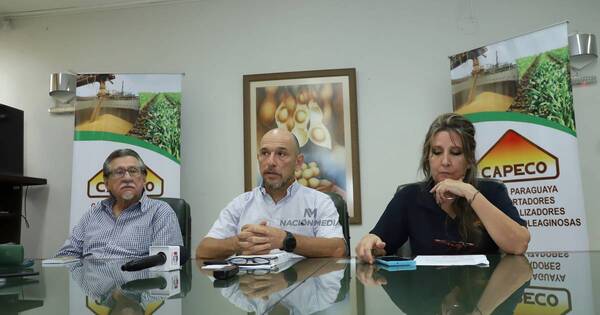 La Nación / Capeco cierra año productivo con más de 9.3 millones de toneladas de soja exportadas