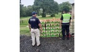 Incautación masiva de tomate contrabandeado desde Argentina