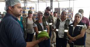 La Nación / Misión técnica chilena recorrió fincas exportadoras de banana y valoró producción