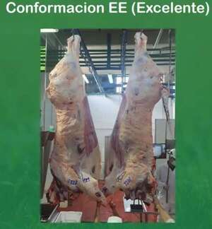 Carne paraguaya es 54% de calidad superior a premium - Nacionales - ABC Color