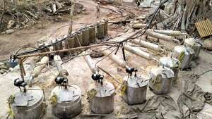 Destruyen narcolaboratorio en Sonora del Cártel de Sinaloa - Megacadena - Diario Digital