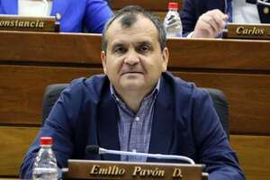 Hay un evidente sobrecosto en cada compra, dice Pavón - Política - ABC Color