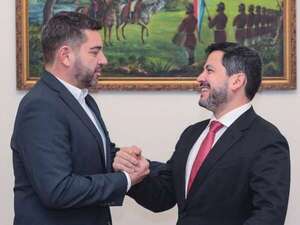 Pedro Alliana ubicó también a su cuñado en Vicepresidencia - Política - ABC Color