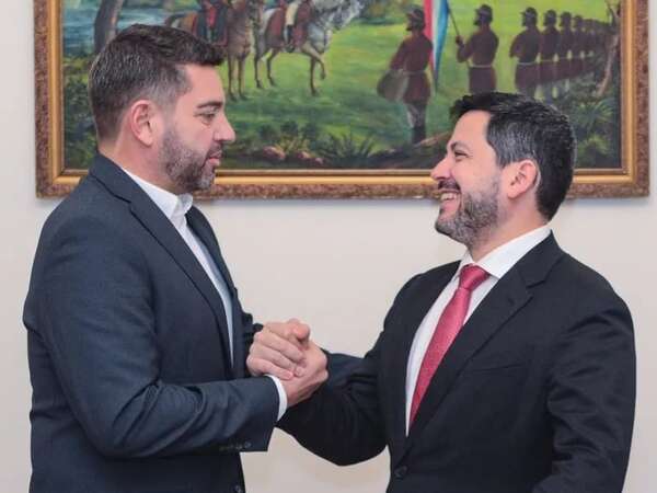Pedro Alliana ubicó también a su cuñado en Vicepresidencia - Política - ABC Color