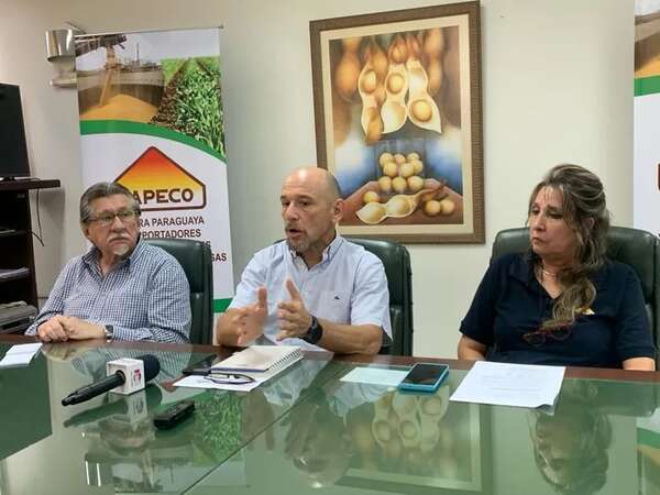 Moderado optimismo para la soja 2024, pronostican 9 millones de toneladas - Nacionales - ABC Color