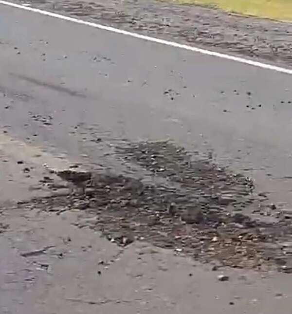 Fiscalizadora ni vio los baches que aparecieron en el lote 1 de la Transchaco - Economía - ABC Color