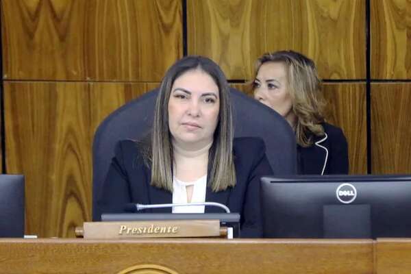 Diputados piden informes sobre distribución de recurso - Política - ABC Color