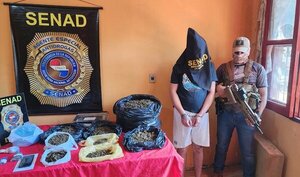 SENAD capturó a proveedor de marihuana que operaba en Encarnación