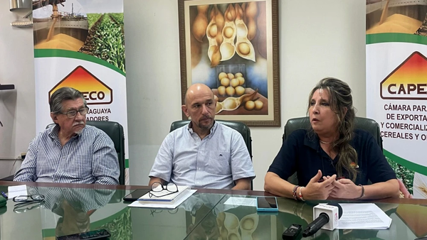 SE TRIPLICÓ ENVÍO DE SOJA Y GENERÓ DIVISAS POR USD 3.271 MILLONES - Itapúa Noticias