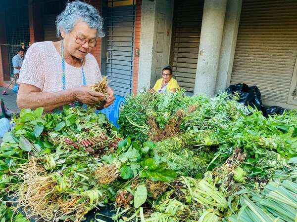 Cuidado: el tereré con yuyos es “jorador”, pero puede deshidratar - Estilo de vida - ABC Color