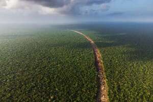 El Tren Maya empieza a rodar en México - Viajes - ABC Color