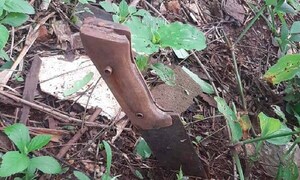 Procesan a una mujer por el homicidio de su pareja – Prensa 5