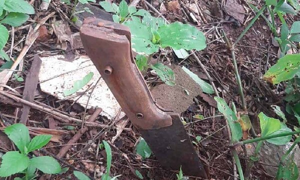 Procesan a una mujer por el homicidio de su pareja – Prensa 5