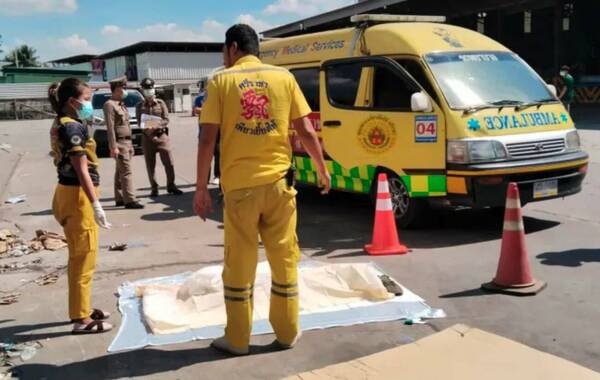 ¡Horror! Al abrir un contenedor que llegó a destino hicieron un macabro descubrimiento