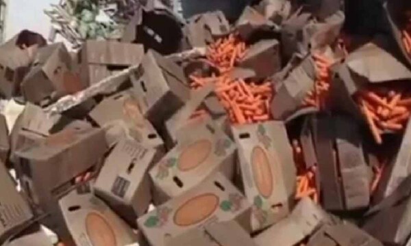 Camión con mercaderías de presunto contrabando vuelca en Cordillera – Prensa 5