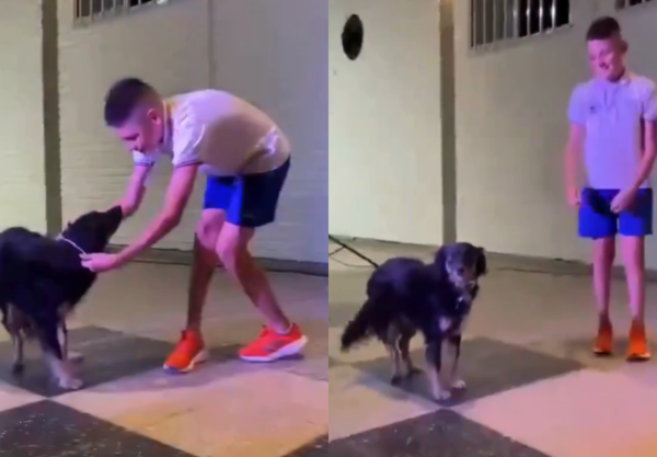 (VIDEO). Una dulce jagua’i llamada “Negrita” se recibió con unos niños de una escuela de “asha”