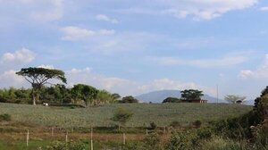 Al menos cinco muertos en una nueva masacre sobre una reserva indígena en el suroeste de Colombia