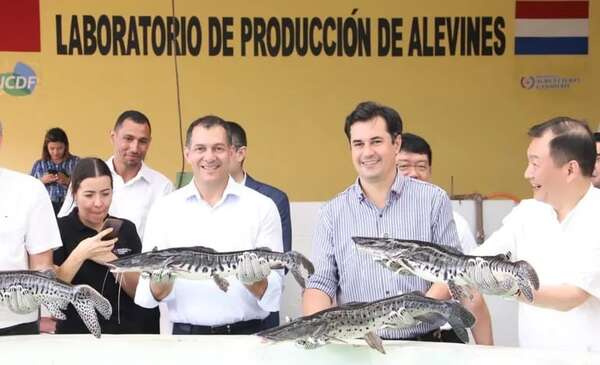 Destacan doble el éxito de la producción picsícola - Nacionales - ABC Color