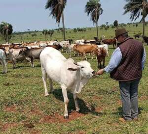 “Fue un año desastroso para la ganadería”, asegura el presidente de la ARP - Economía - ABC Color