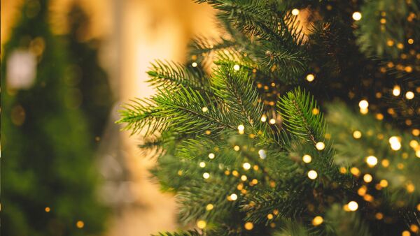 RCC celebra la Navidad con una programación especial