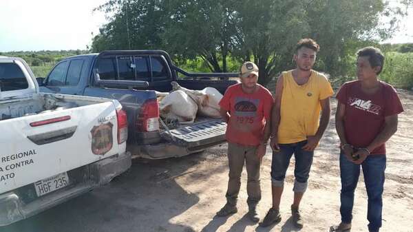 Abigeato en Fuerte Olimpo: imputan a tres presuntos ladrones - Nacionales - ABC Color